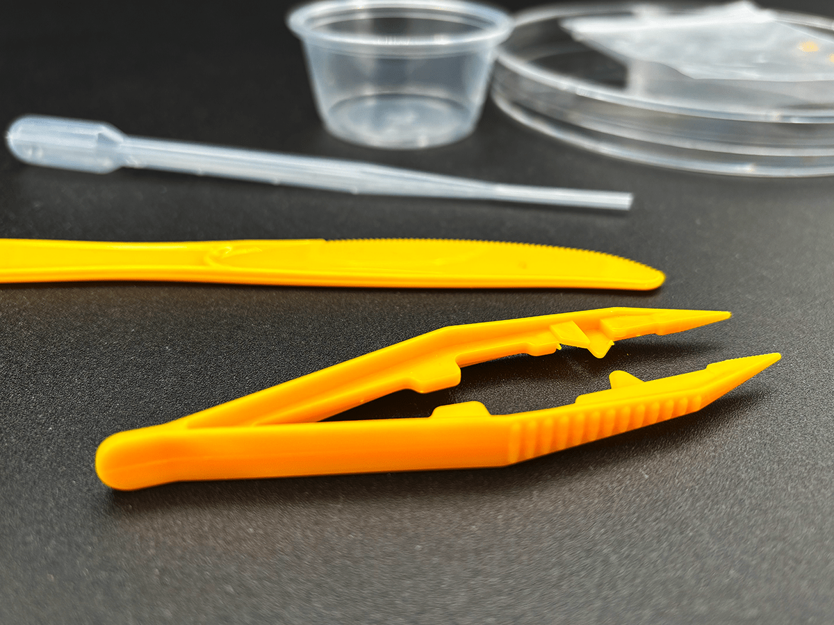 best kids science projects, the blob kit, stem science kits, living slime mold