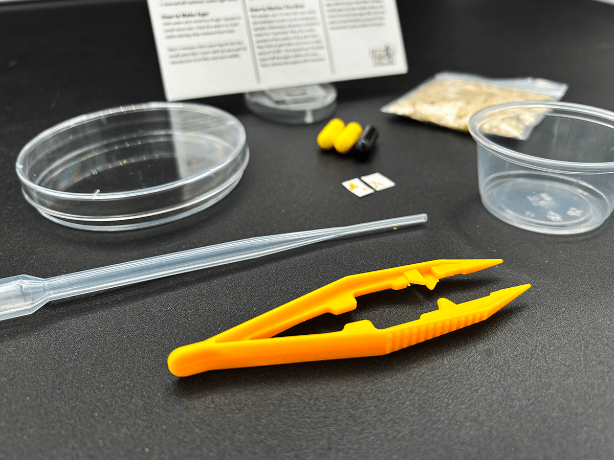 blob kit, slime mold, experiment, homeschool