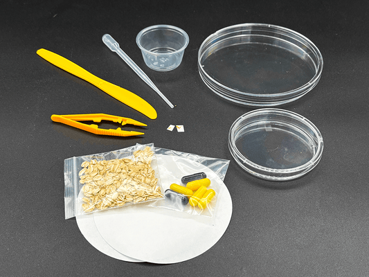 collectors blob kit, classroom science project, easy class project