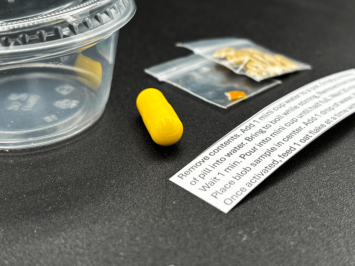 homeschool science kit, living slime mold, the blob