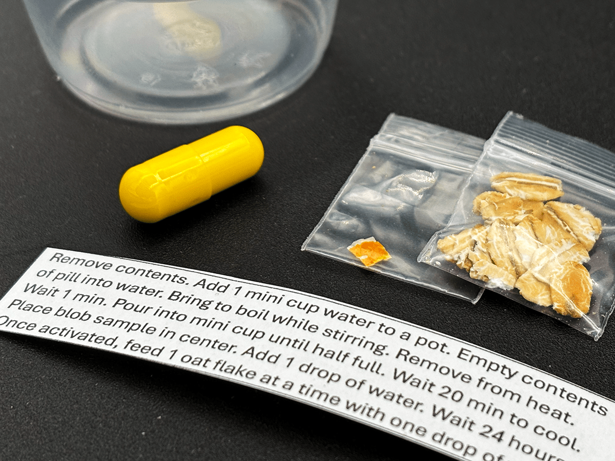 Living slime, physarum polycephalum, the blob, science kit