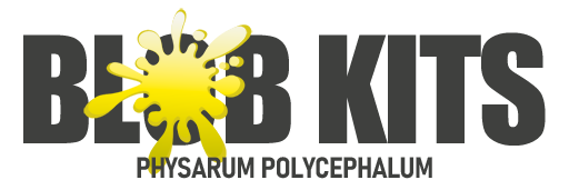 blob kits, buy physarum polycephalum, slime mold, science experiment, classroom science, homeschool stem