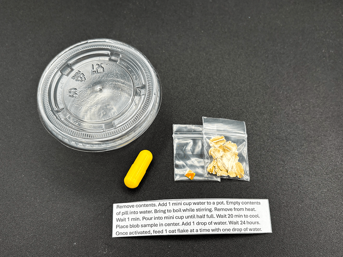 living slime, mini kit, kids science, experiment