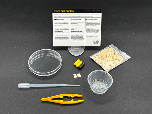 slime mold blob science experiment kit