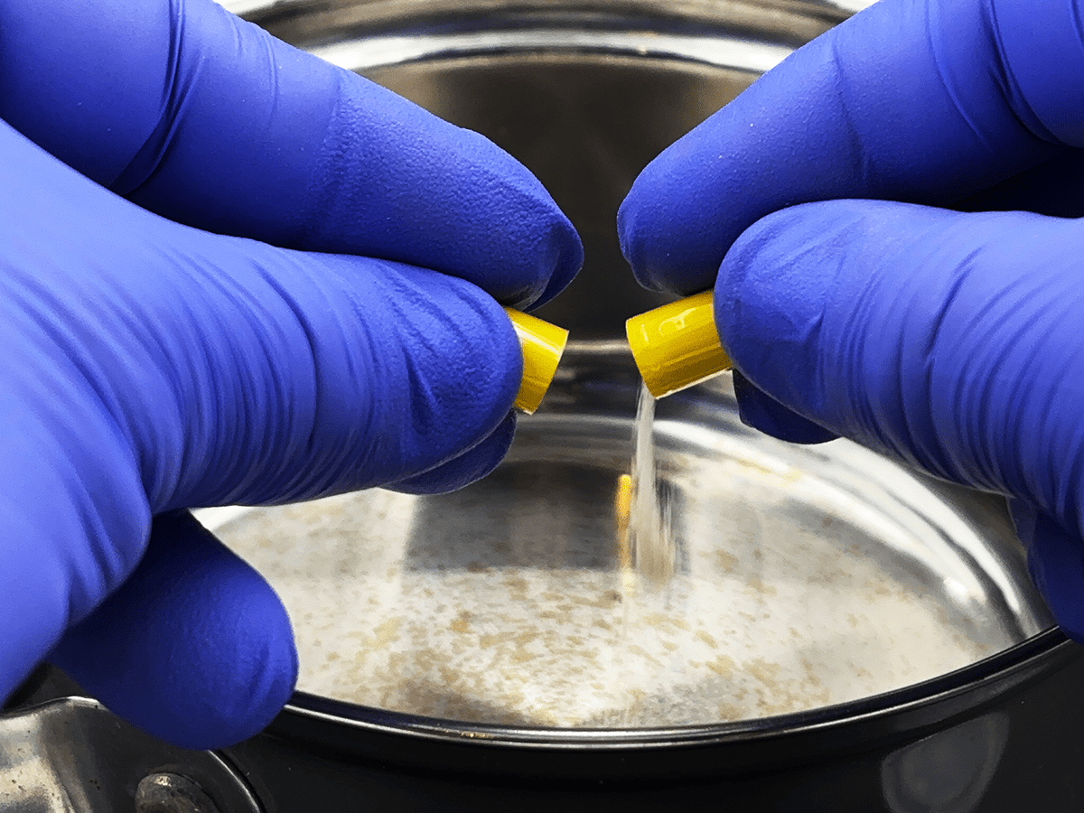 slime mold sclerotia sample, science kits, experiments